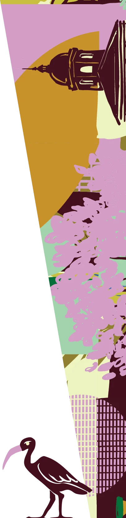Right decorative bird graphic